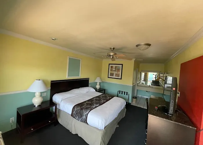 King Room